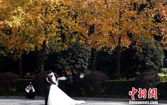 婚纱摄影 成为上海外滩一道亮丽风景