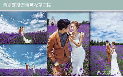 【唯丽国际婚纱摄影团购】-大众点评网团购上海站